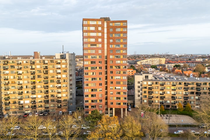 Bekijk foto 3 van Vredehoflaan 252