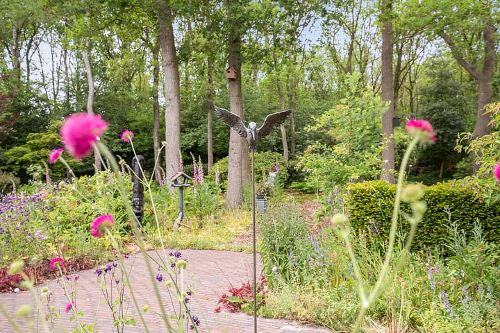 Foto 35 van Heidemeer 8