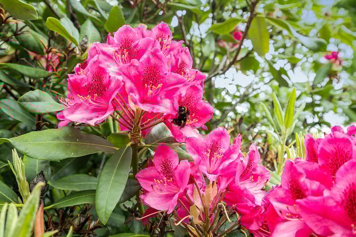 Foto 38 van Heidemeer 8