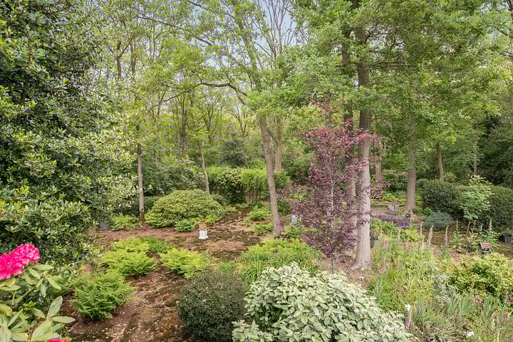 Foto 39 van Heidemeer 8