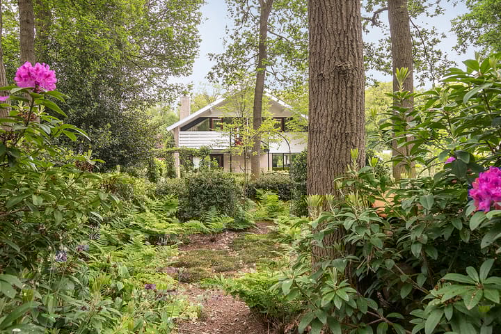 Foto 40 van Heidemeer 8