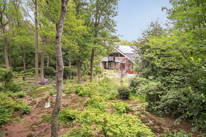 Foto 43 van Heidemeer 8