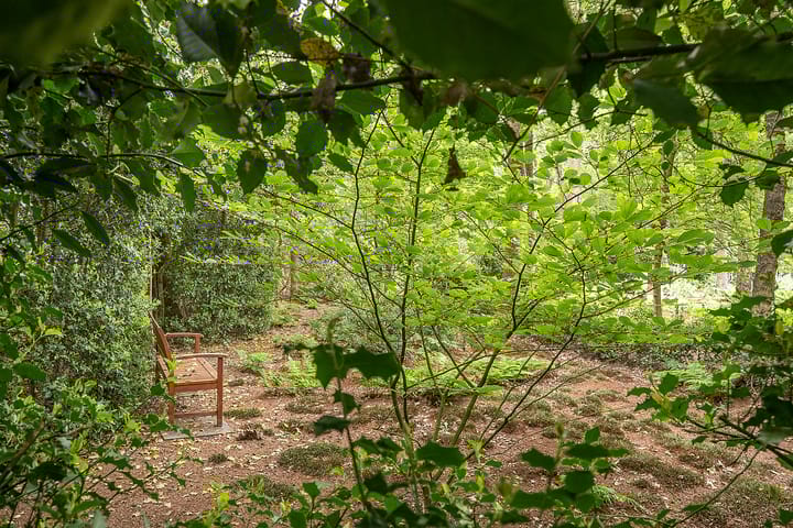 Foto 45 van Heidemeer 8