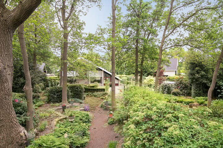 Foto 46 van Heidemeer 8