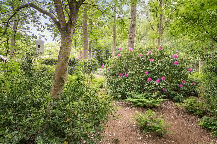 Foto 48 van Heidemeer 8