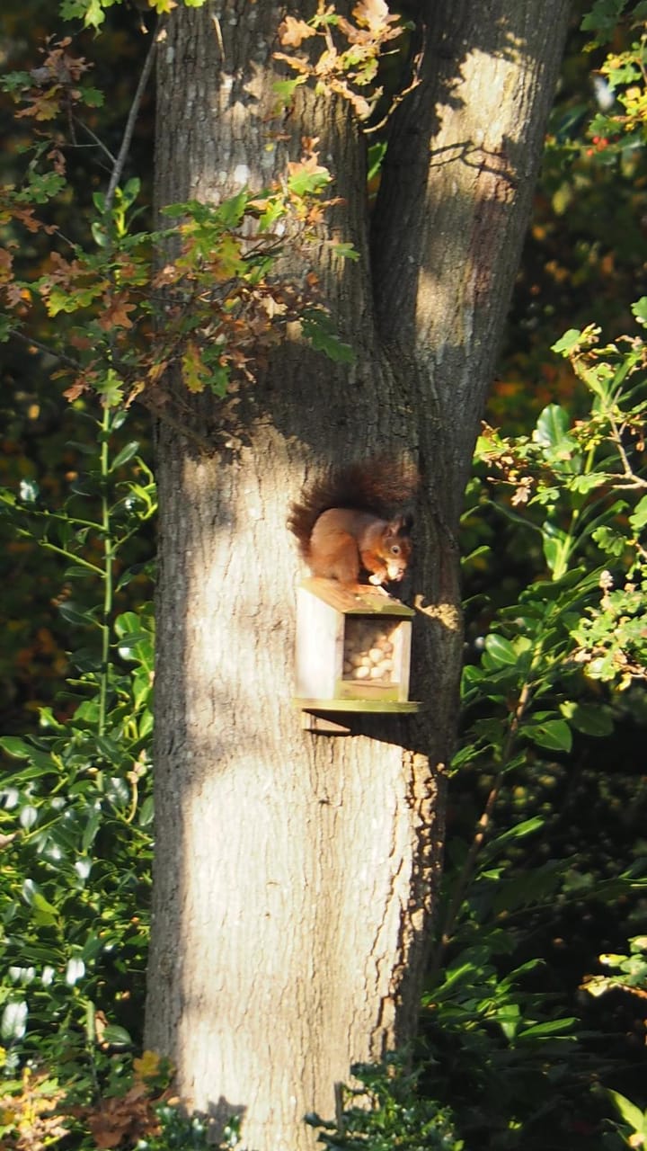 Foto 49 van Heidemeer 8