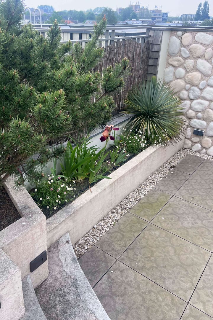 Foto 46 van Semmelweisstraat 9