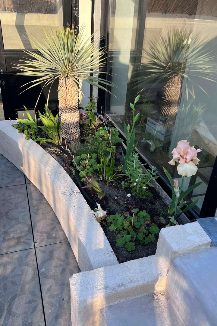 Foto 50 van Semmelweisstraat 9