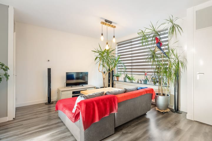 Photo 6 of Vogelzang 46