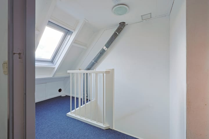 Foto 21 van Bosanemoon 85