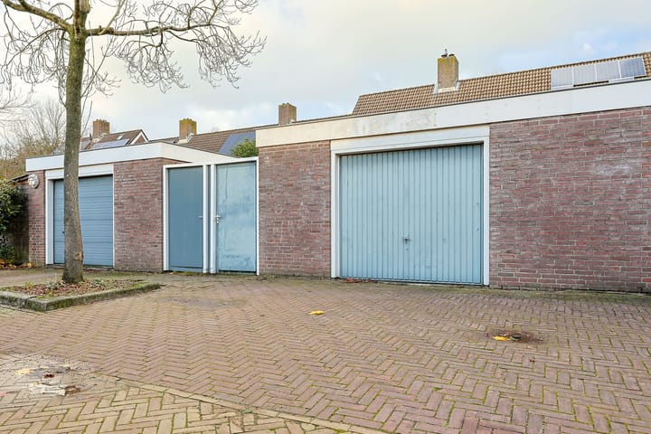 Foto 31 van Bosanemoon 85