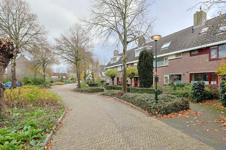 Foto 32 van Bosanemoon 85