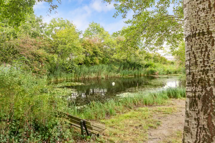 Foto 50 van De Vrede 40