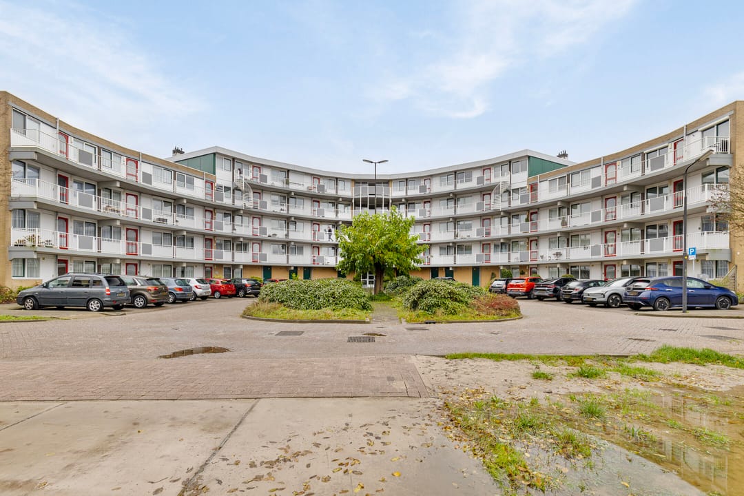 Foto 2 van Koraal 57