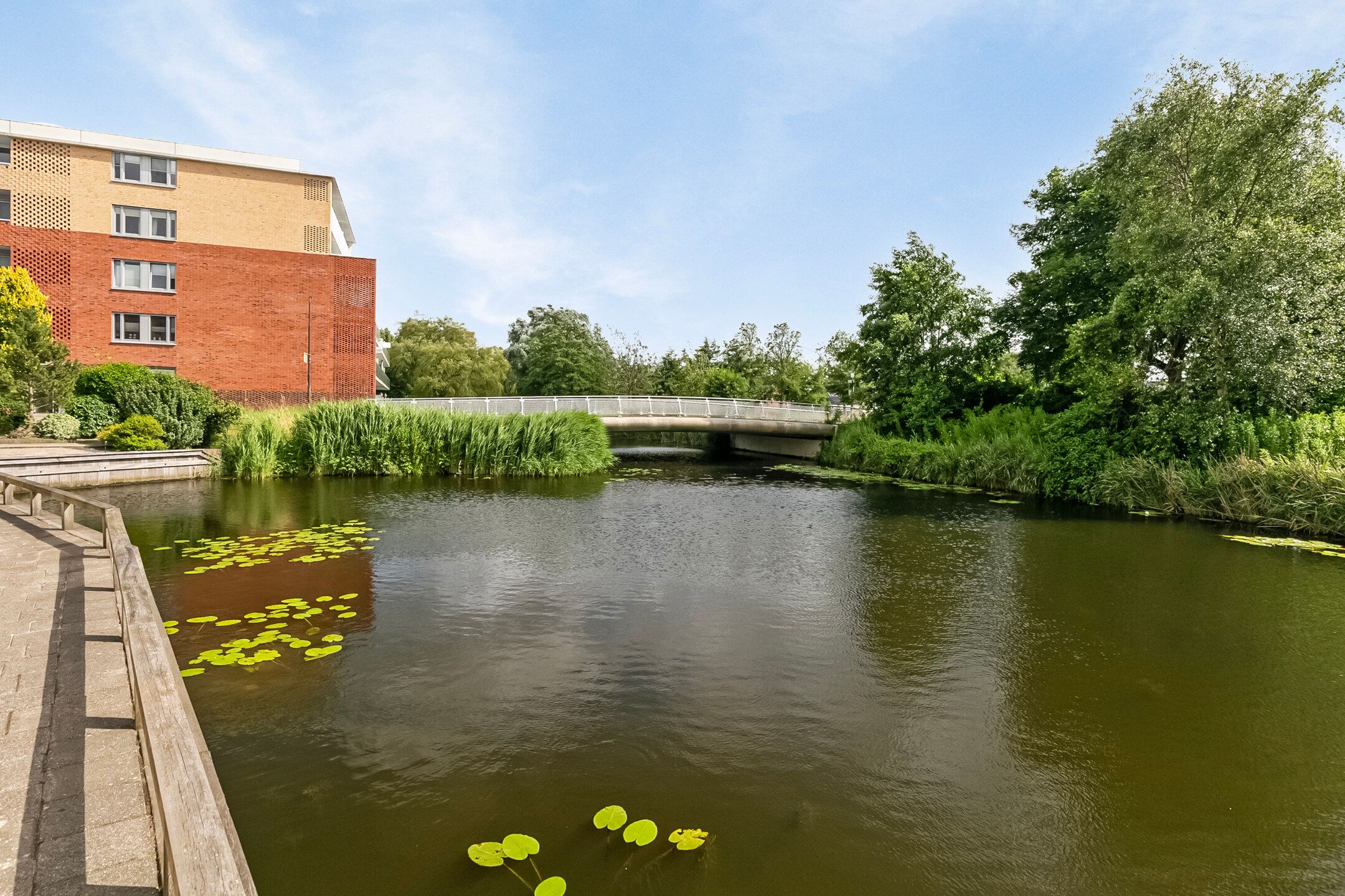 Foto 36 van Koraal 57