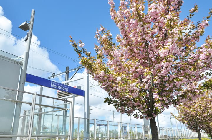 Foto 44 van Zegge 34