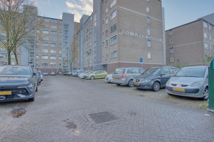 Foto 4 van Tomatenplein 169