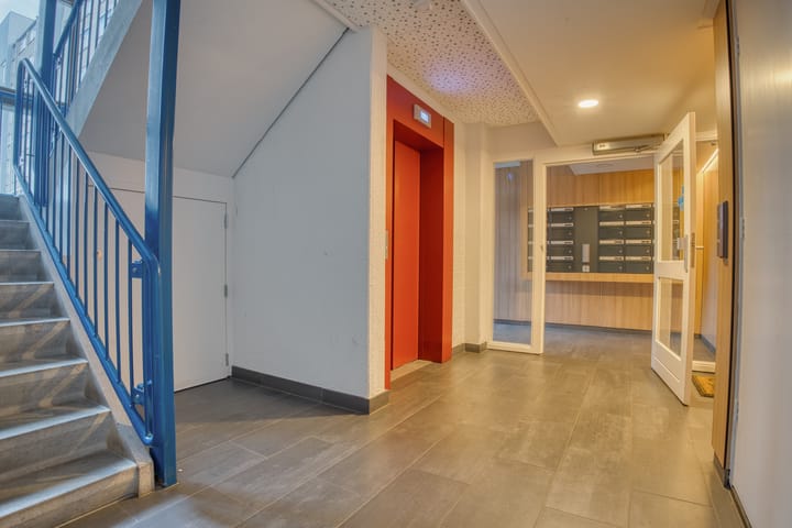 Foto 7 van Tomatenplein 169