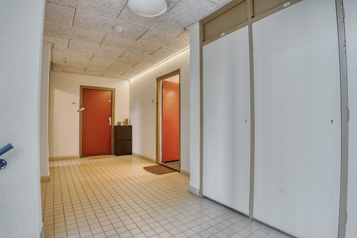 Foto 9 van Tomatenplein 169