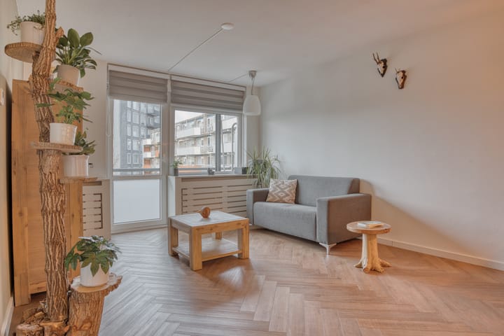 Foto 13 van Tomatenplein 169