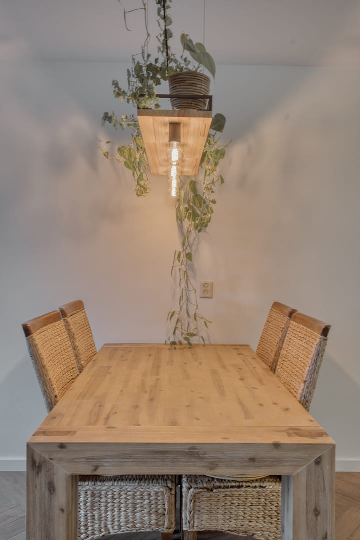 Foto 17 van Tomatenplein 169