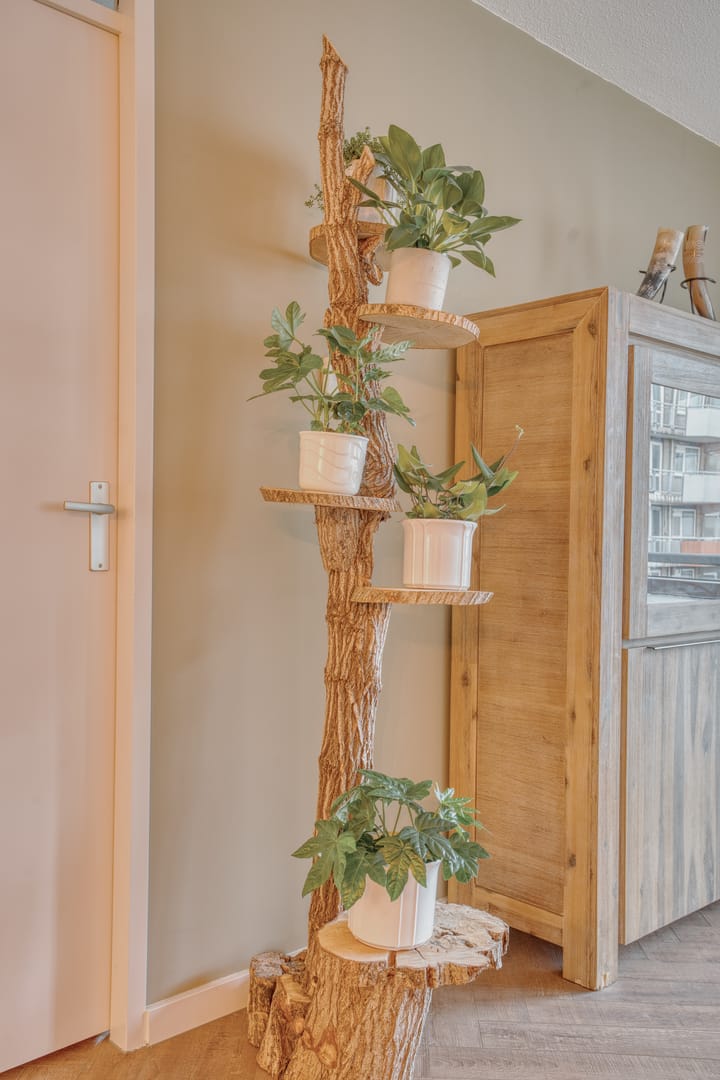 Foto 19 van Tomatenplein 169