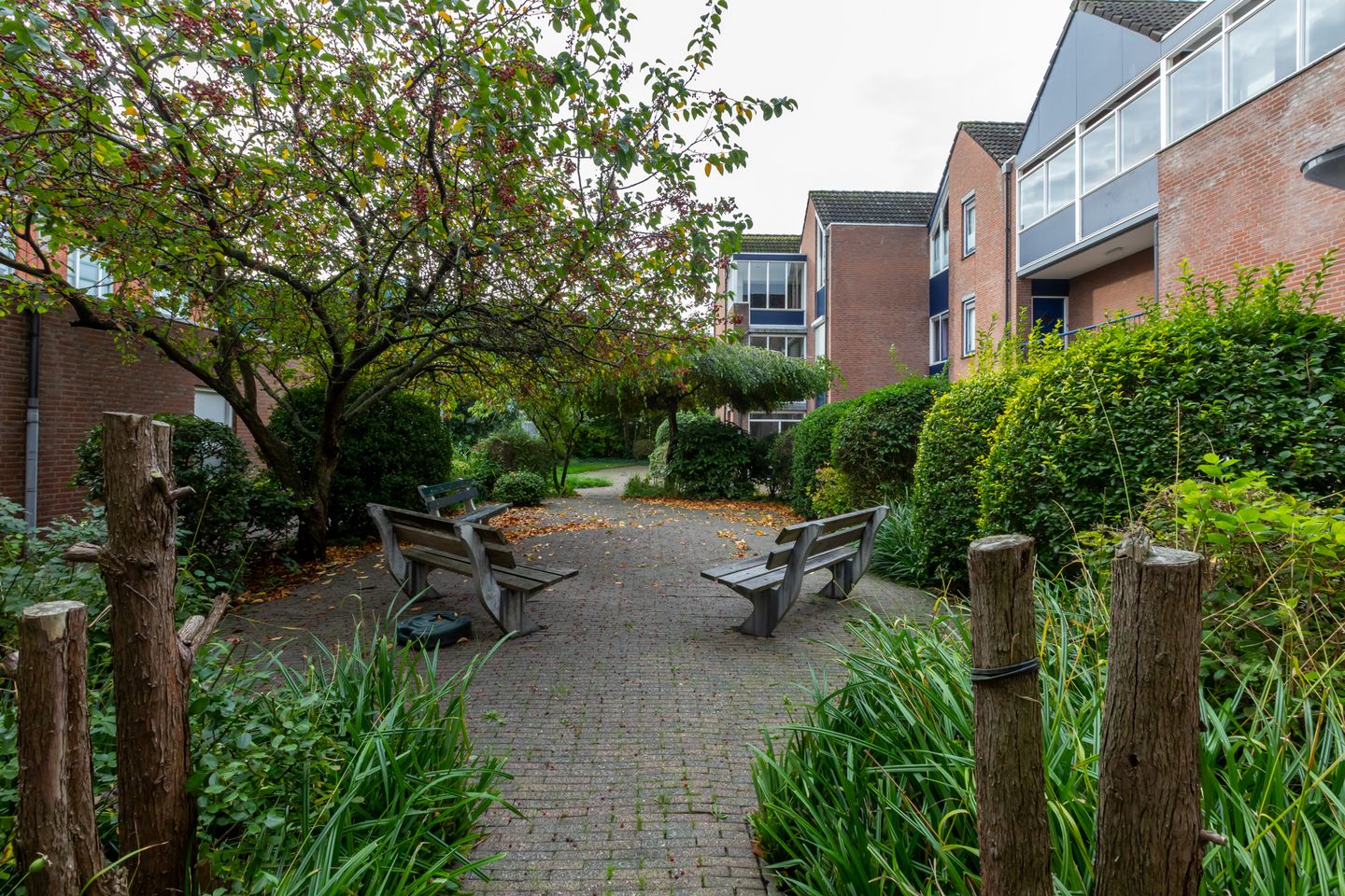 Foto 25 van Van Dishoeckstraat 58