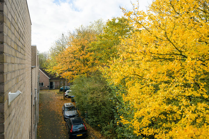 Bekijk foto 44 van Schönbergstraat 16