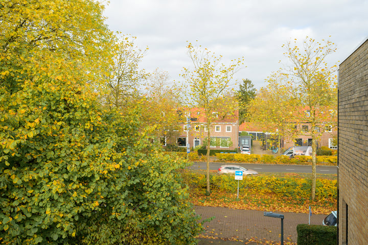 Bekijk foto 45 van Schönbergstraat 16