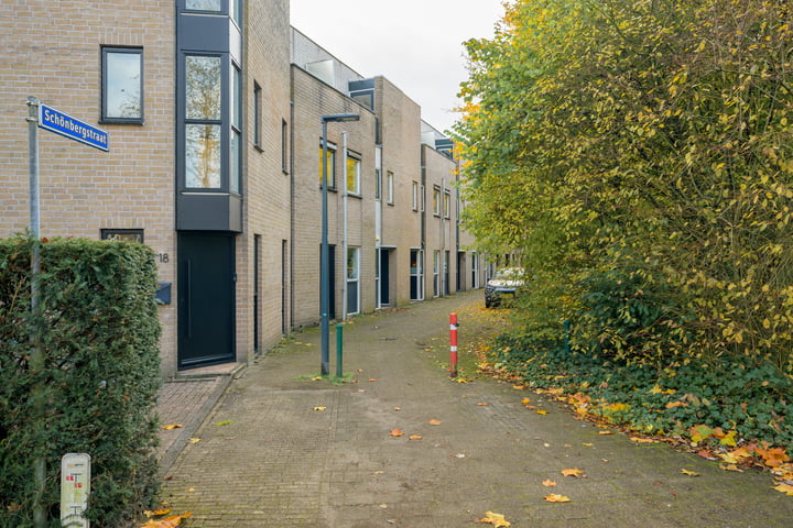 Bekijk foto 47 van Schönbergstraat 16