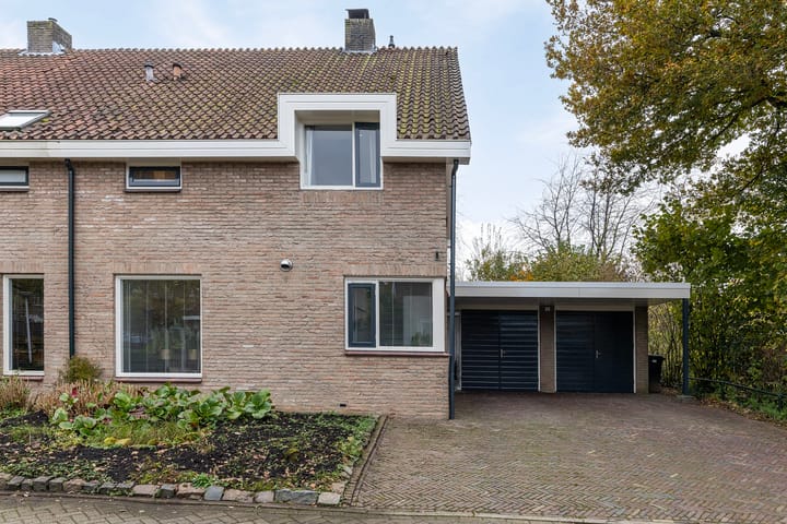 Foto 43 van Tormentil 51