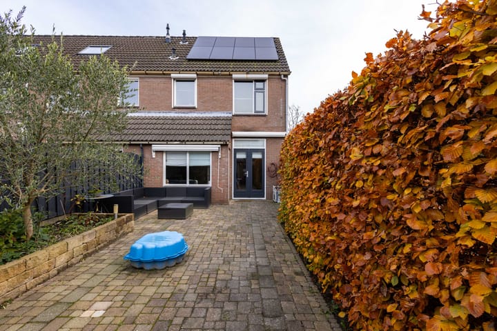 Foto 2 van Sleedoorn 1