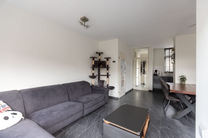 Foto 3 van Sleedoorn 1