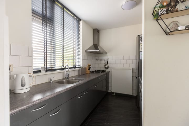 Foto 4 van Sleedoorn 1