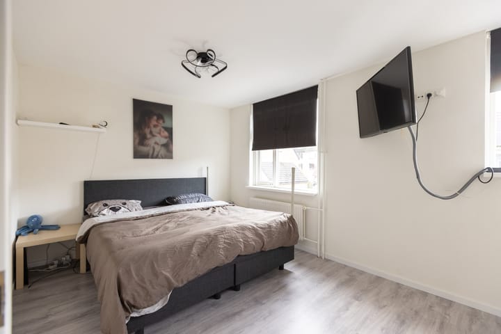 Foto 21 van Sleedoorn 1