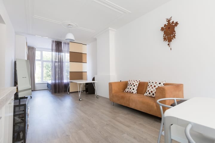 Foto 5 van Van Slingelandtstraat 179