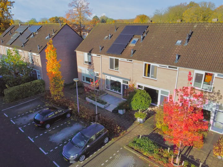 Photo 6 of Everstein 35