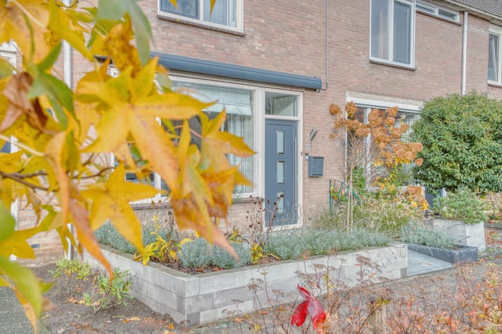 Photo 7 of Everstein 35