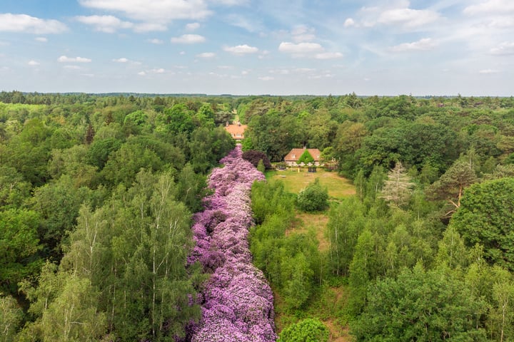 Bekijk foto 91 van Lage Mierdseweg 17