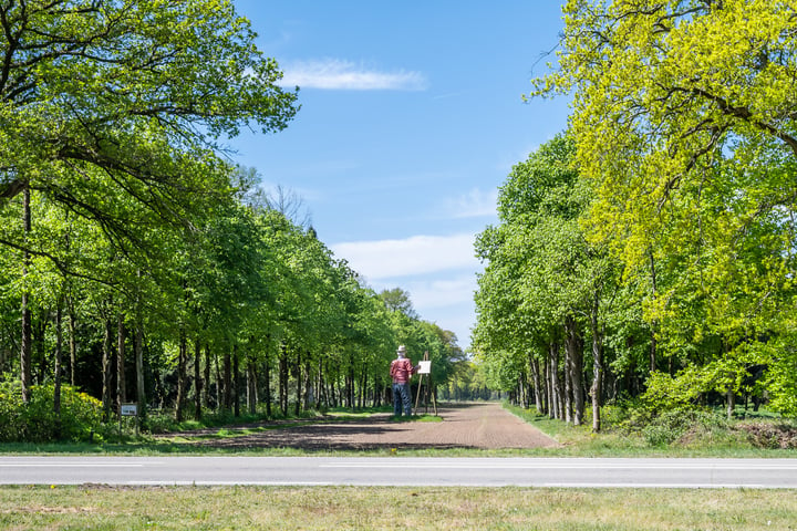 Bekijk foto 109 van Lage Mierdseweg 17