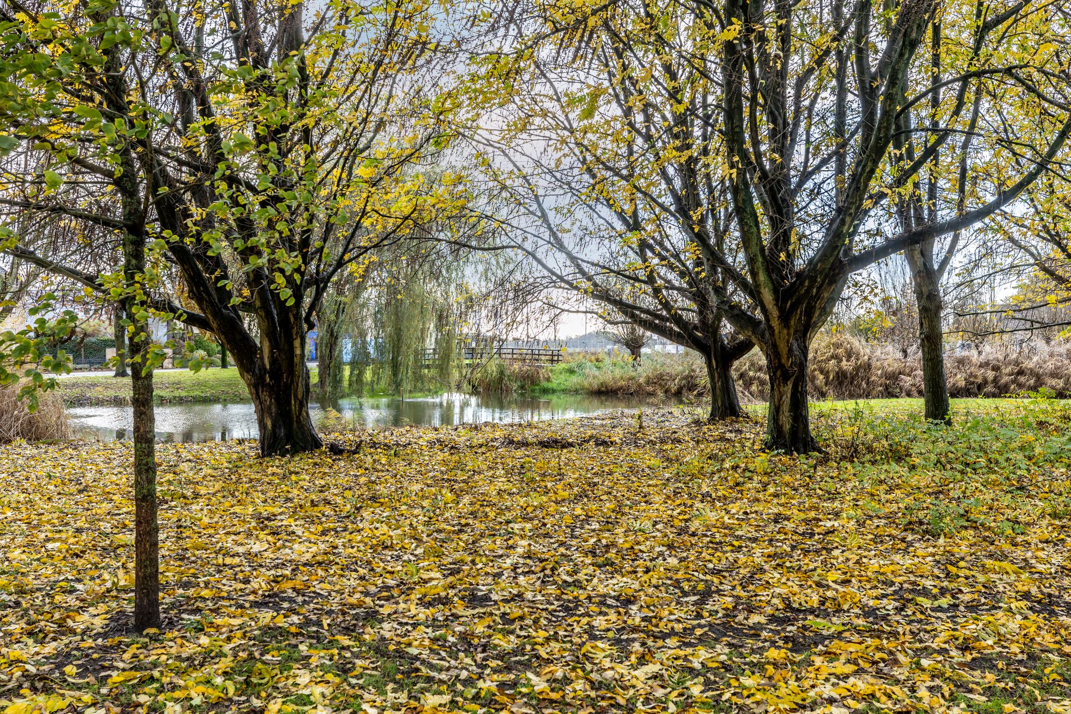 Foto 9 van Biezenbleek 14