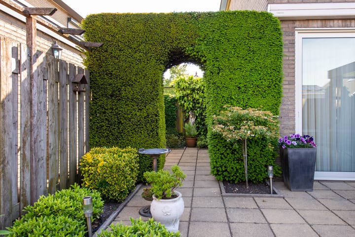 Foto 39 van van 't Hoffstraat 14