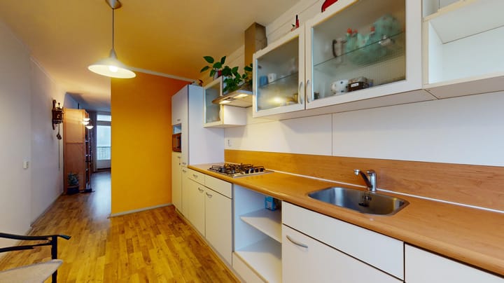 Foto 17 van Burg. van Grunsvenplein 121