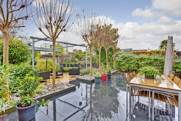 Foto 2 van Atalanta 74