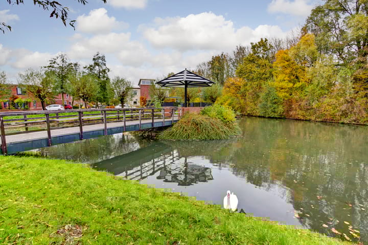 Foto 3 van Atalanta 74