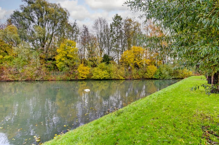 Foto 48 van Atalanta 74