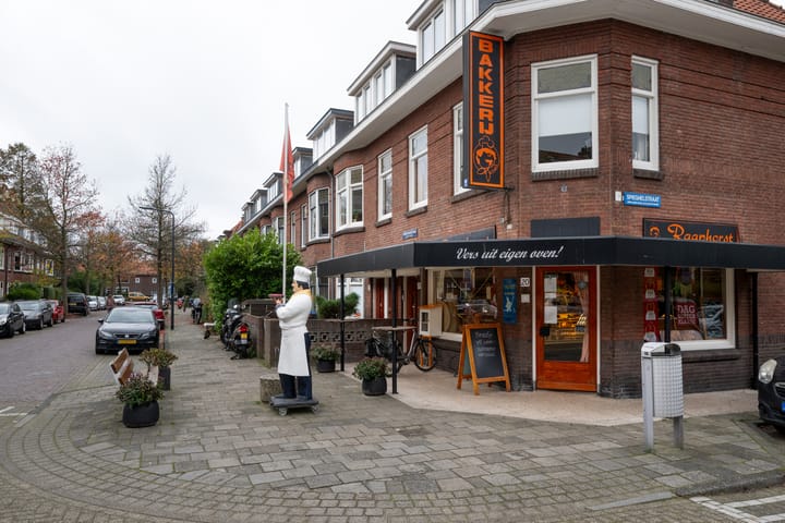 Foto 24 van Tesselschadestraat 26-A