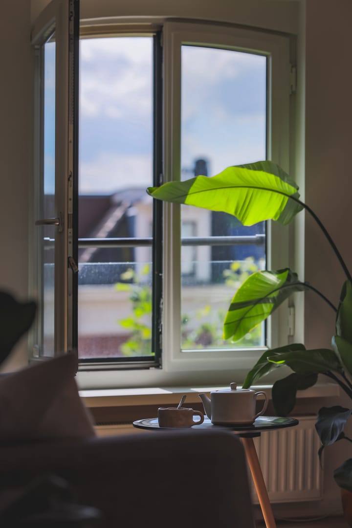 Foto 4 van Pieter Vlamingstraat 7-F