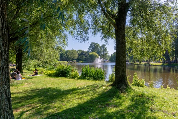 Foto 17 van Pieter Vlamingstraat 7-F