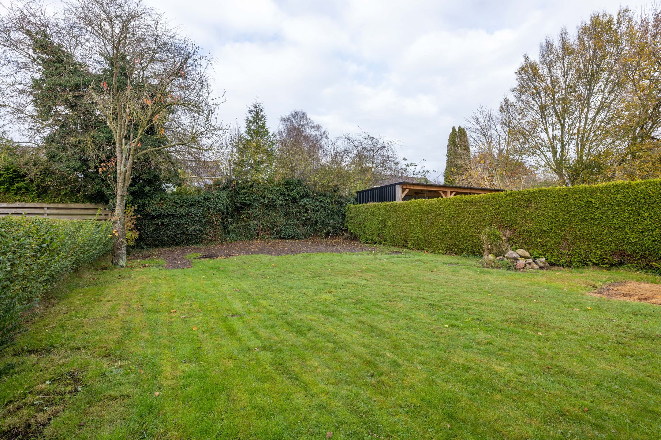 Foto 42 van Optwizel 24